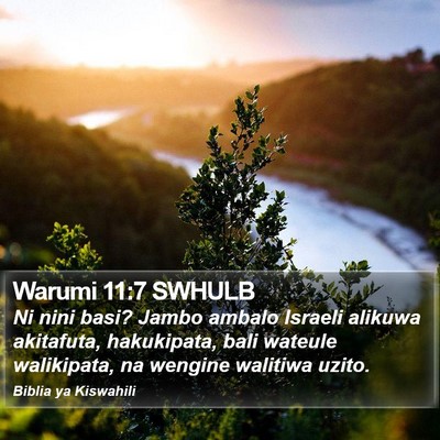Warumi 11:7 SWHULB Bible Verse Image