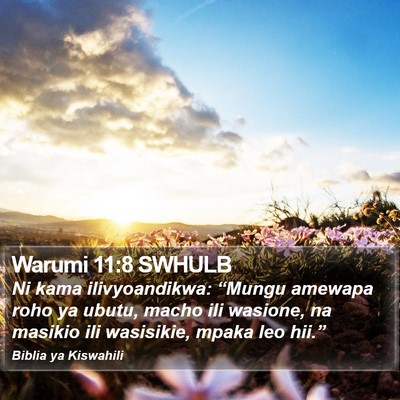 Warumi 11:8 SWHULB Bible Verse Image