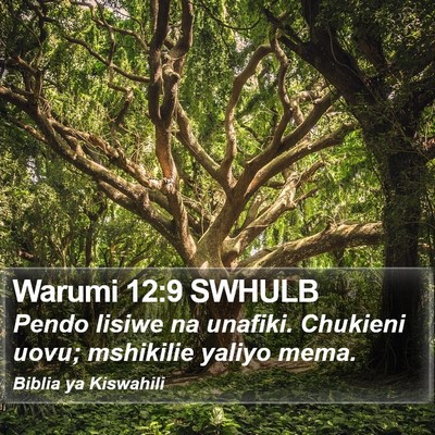 Warumi 12:9 SWHULB Bible Verse Image