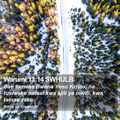 Warumi 13:14 SWHULB Bible Verse Image