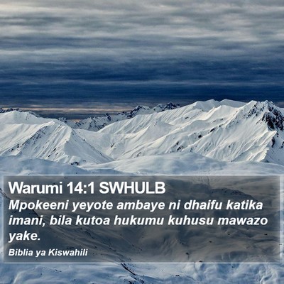 Warumi 14:1 SWHULB Bible Verse Image