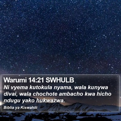 Warumi 14:21 SWHULB Bible Verse Image