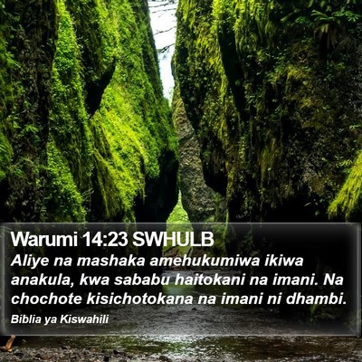 Warumi 14:23 SWHULB Bible Verse Image