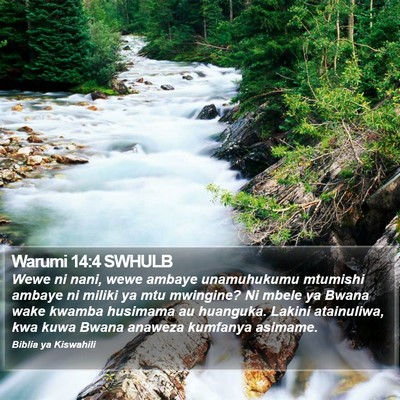 Warumi 14:4 SWHULB Bible Verse Image