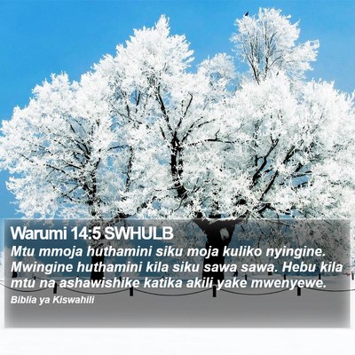 Warumi 14:5 SWHULB Bible Verse Image