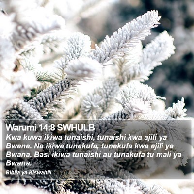 Warumi 14:8 SWHULB Bible Verse Image