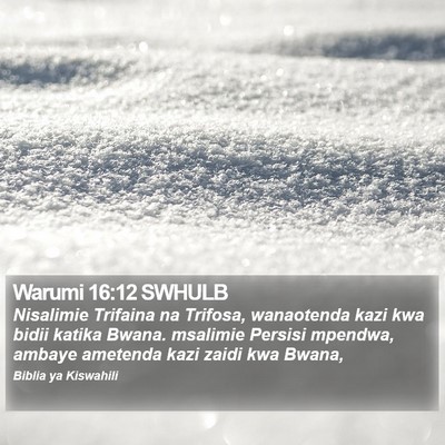 Warumi 16:12 SWHULB Bible Verse Image