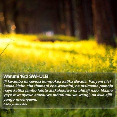 Warumi 16:2 SWHULB Bible Verse Image