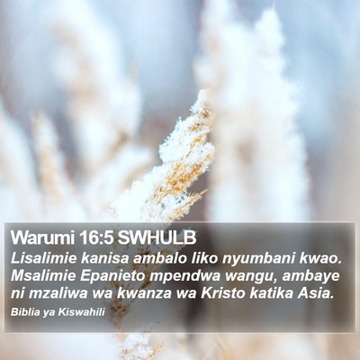 Warumi 16:5 SWHULB Bible Verse Image