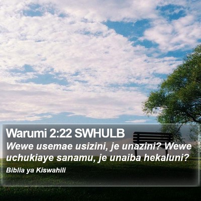 Warumi 2:22 SWHULB Bible Verse Image