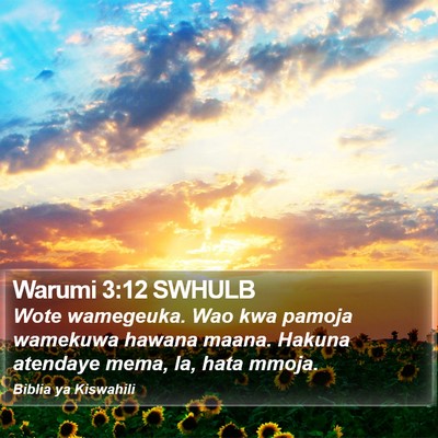 Warumi 3:12 SWHULB Bible Verse Image