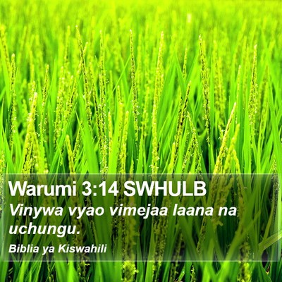 Warumi 3:14 SWHULB Bible Verse Image