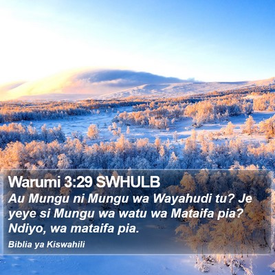 Warumi 3:29 SWHULB Bible Verse Image