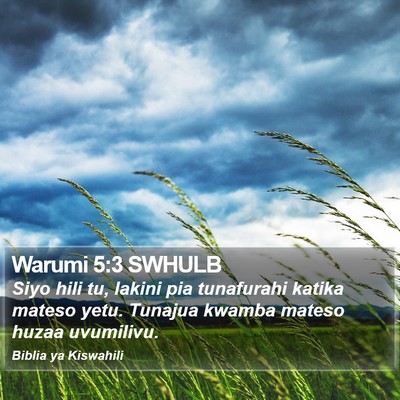 Warumi 5:3 SWHULB Bible Verse Image