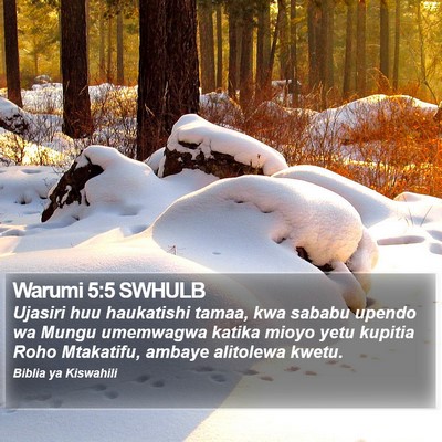 Warumi 5:5 SWHULB Bible Verse Image
