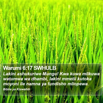 Warumi 6:17 SWHULB Bible Verse Image