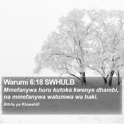 Warumi 6:18 SWHULB Bible Verse Image