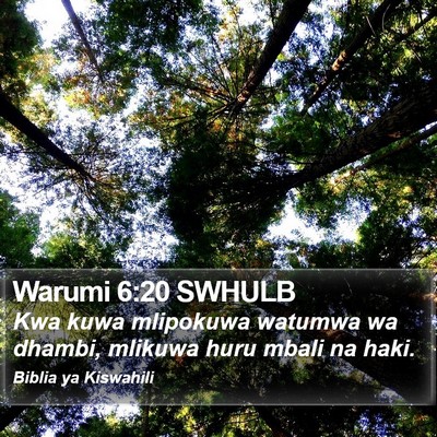 Warumi 6:20 SWHULB Bible Verse Image
