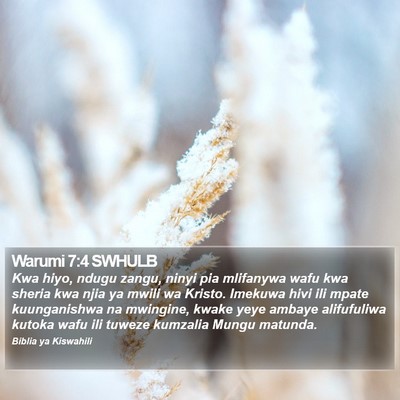 Warumi 7:4 SWHULB Bible Verse Image