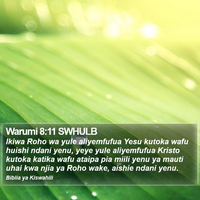 Warumi 8:11 SWHULB Bible Verse Image