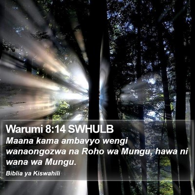 Warumi 8:14 SWHULB Bible Verse Image