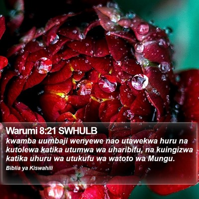 Warumi 8:21 SWHULB Bible Verse Image