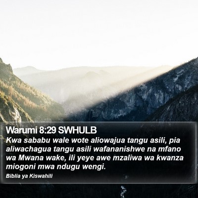Warumi 8:29 SWHULB Bible Verse Image
