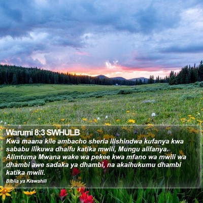 Warumi 8:3 SWHULB Bible Verse Image