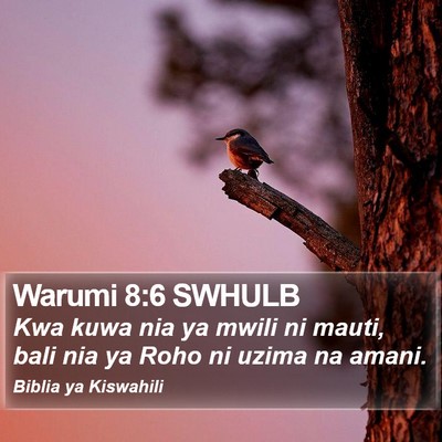 Warumi 8:6 SWHULB Bible Verse Image