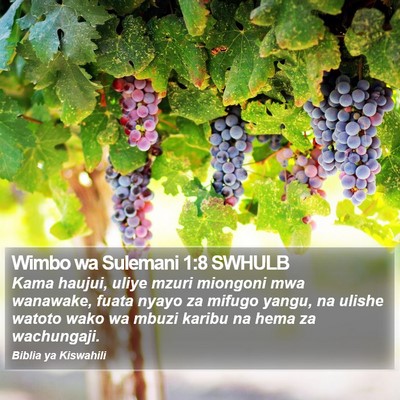 Wimbo wa Sulemani 1:8 SWHULB Bible Verse Image