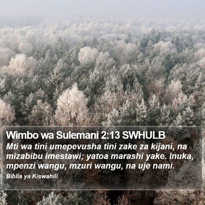 Wimbo wa Sulemani 2:13 SWHULB Bible Verse Image