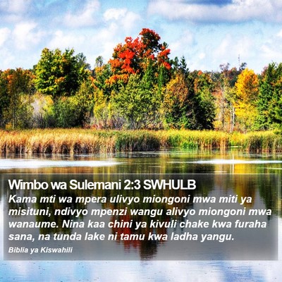 Wimbo wa Sulemani 2:3 SWHULB Bible Verse Image