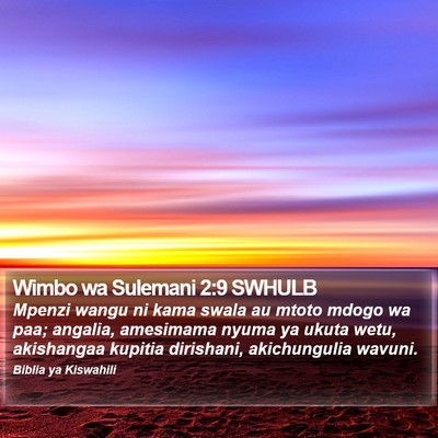 Wimbo wa Sulemani 2:9 SWHULB Bible Verse Image