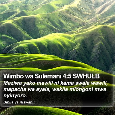 Wimbo wa Sulemani 4:5 SWHULB Bible Verse Image