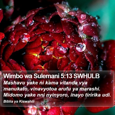 Wimbo wa Sulemani 5:13 SWHULB Bible Verse Image