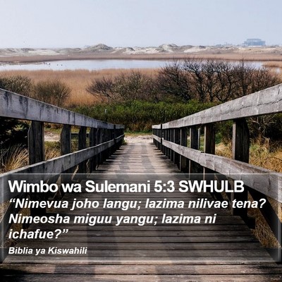 Wimbo wa Sulemani 5:3 SWHULB Bible Verse Image