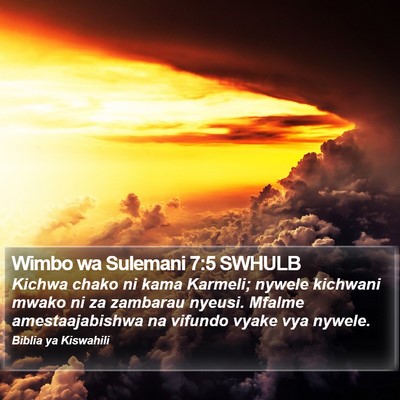 Wimbo wa Sulemani 7:5 SWHULB Bible Verse Image