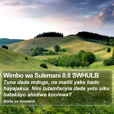 Wimbo wa Sulemani 8:8 SWHULB Bible Verse Image