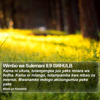 Wimbo wa Sulemani 8:9 SWHULB Bible Verse Image