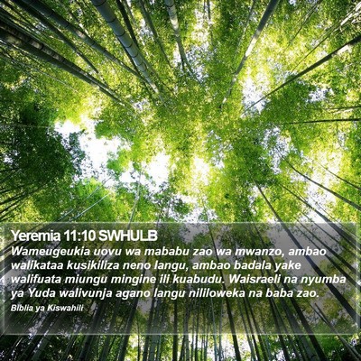 Yeremia 11:10 SWHULB Bible Verse Image
