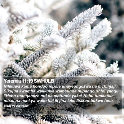 Yeremia 11:19 SWHULB Bible Verse Image