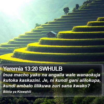 Yeremia 13:20 SWHULB Bible Verse Image