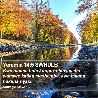 Yeremia 14:5 SWHULB Bible Verse Image