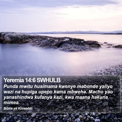 Yeremia 14:6 SWHULB Bible Verse Image