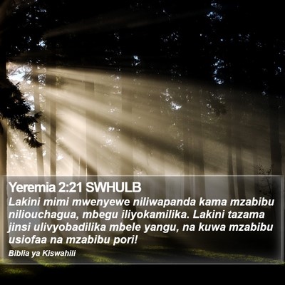 Yeremia 2:21 SWHULB Bible Verse Image
