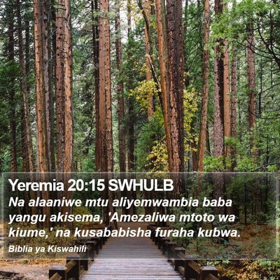 Yeremia 20:15 SWHULB Bible Verse Image