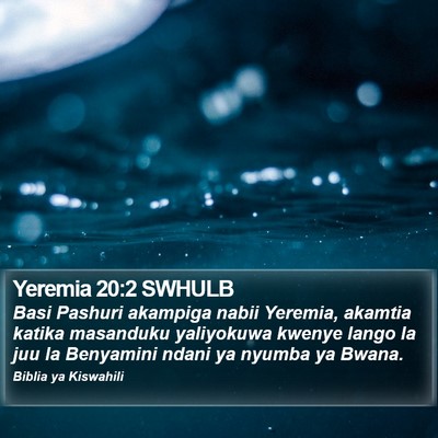 Yeremia 20:2 SWHULB Bible Verse Image