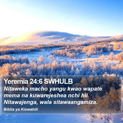 Yeremia 24:6 SWHULB Bible Verse Image