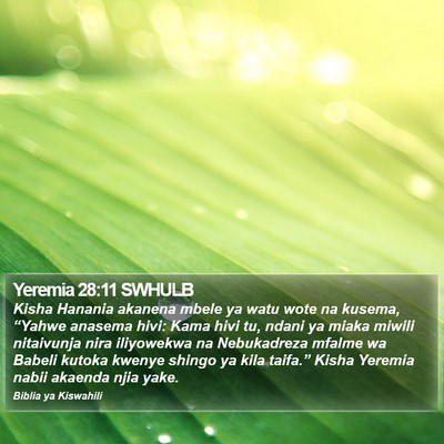 Yeremia 28:11 SWHULB Bible Verse Image
