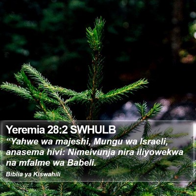 Yeremia 28:2 SWHULB Bible Verse Image